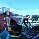 Fun Glass Cat Cup